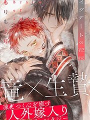 鲁鲁修 剧场版 叛道 作品封面